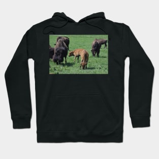 Bison Hoodie